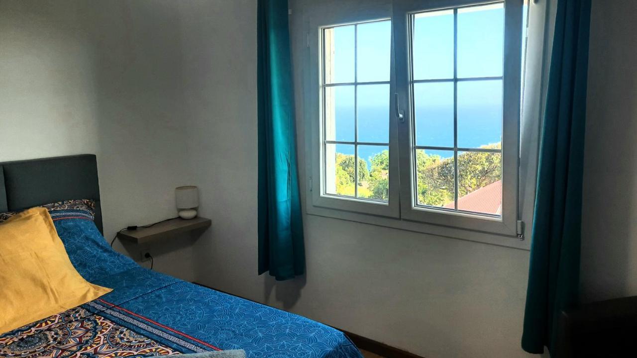 Chambre Vue Sur Mer Entre Grande Anse Et Manapany Petite Île Exterior foto